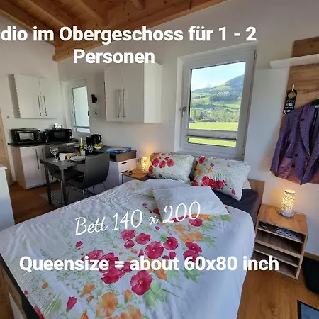 Golf & Ski Appartements Mittersill Trausmuth Monika Inkl Sommercard - Golfplatz 500 M Entfernt, Inkl Waschmaschine, Trockner Esterno foto
